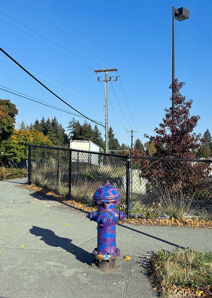 hydrant polka dot