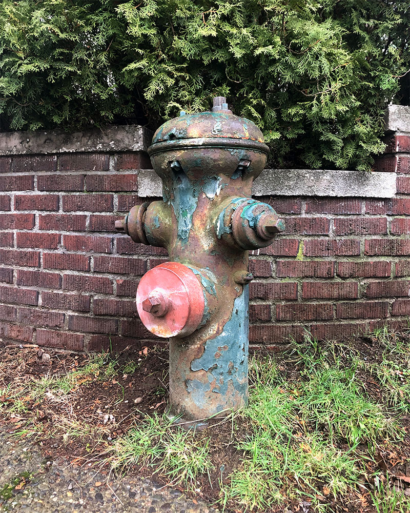 hydrant in capitol hill