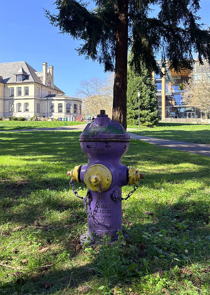 hydrant near the quad