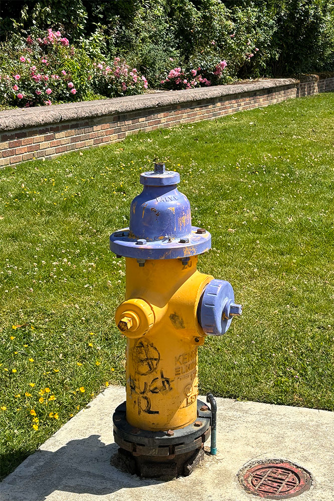 hydrant near fountain