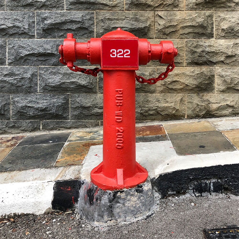 hydrant in Singapore Chinatown