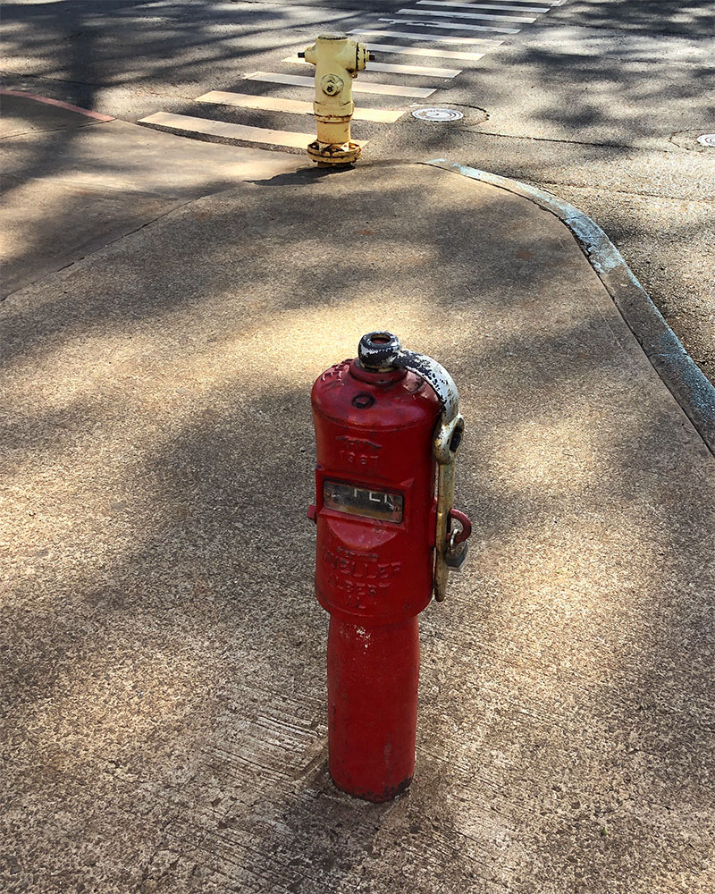 hydrant at Dole plantation