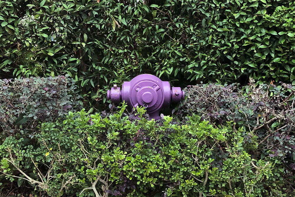 hydrant in fairy tale forest