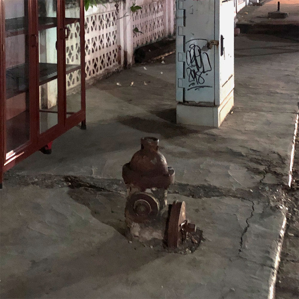 hydrant near night market