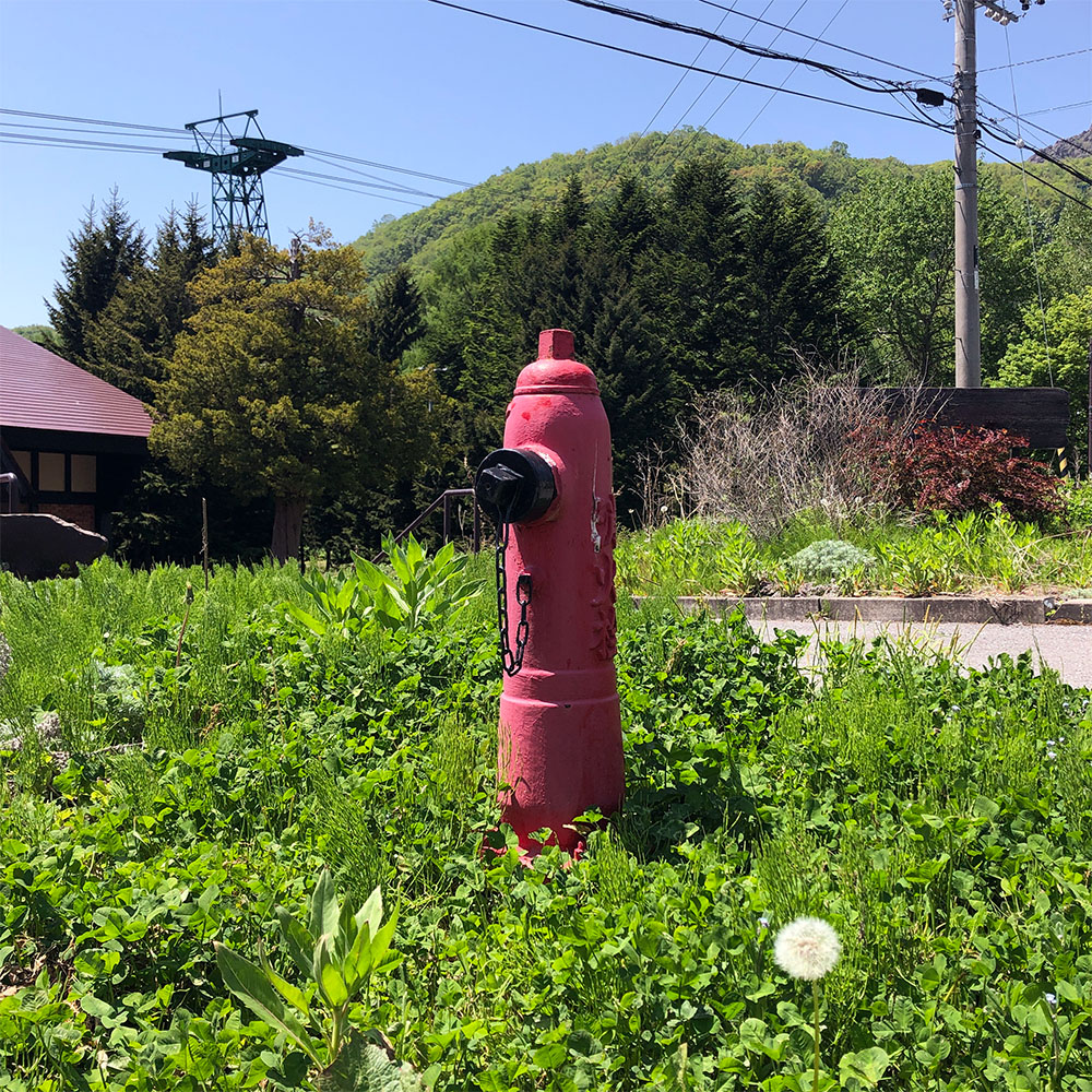 hydrant outside tourist stop