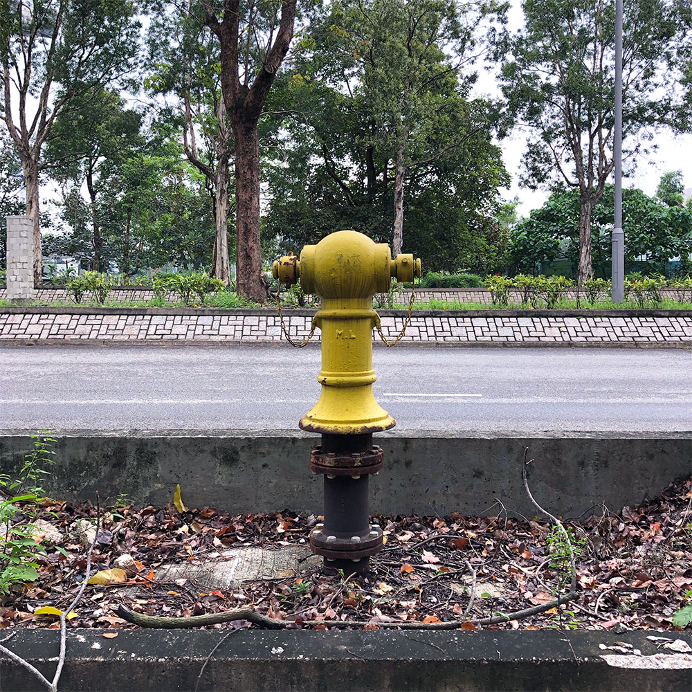 hydrant next to highway