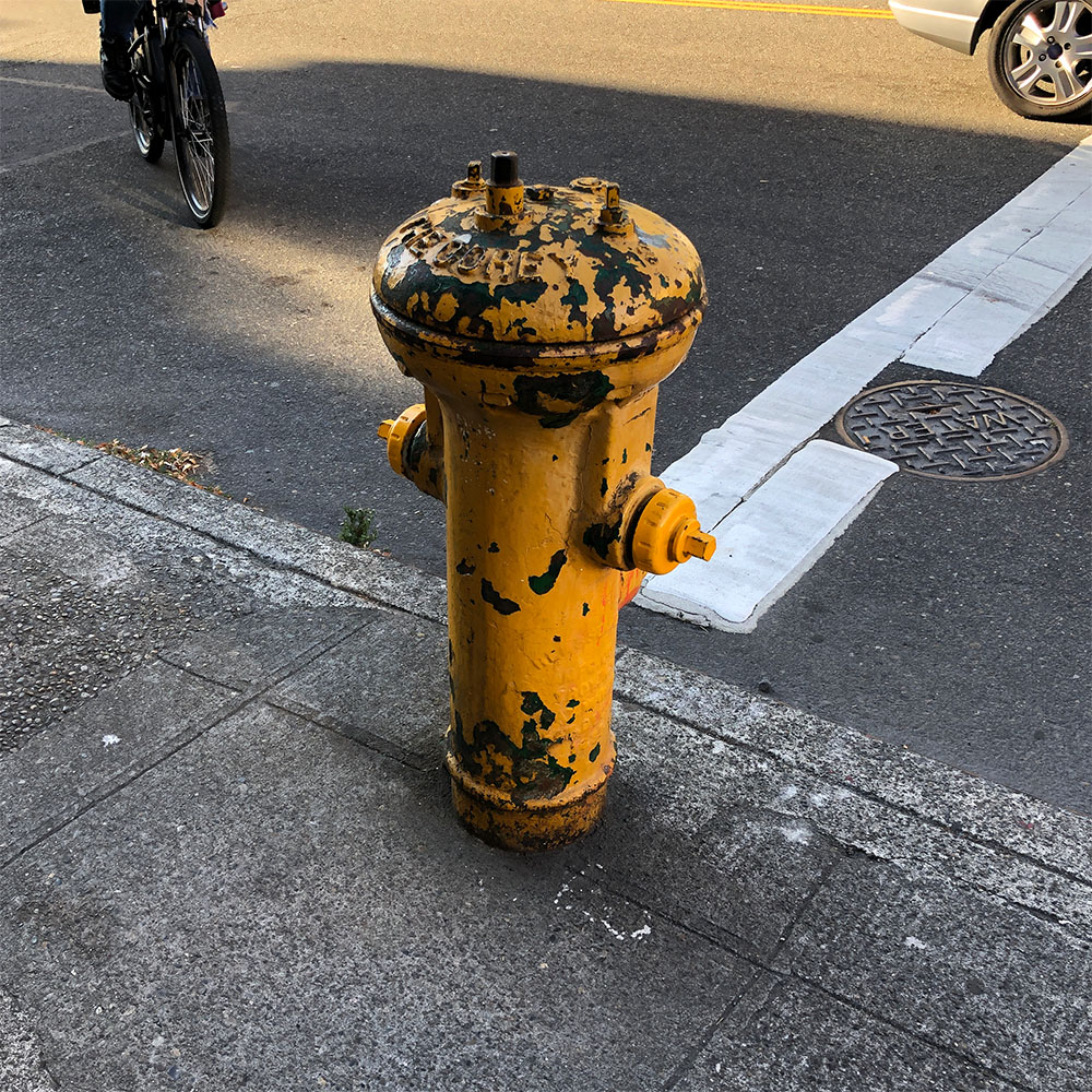 hydrant in Seattle Chinatown