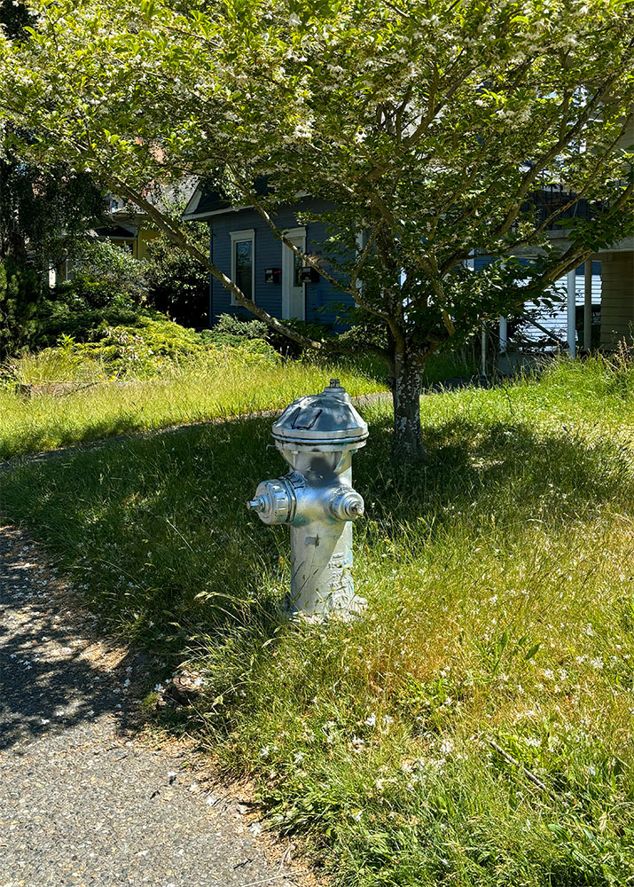 hydrant under the tree