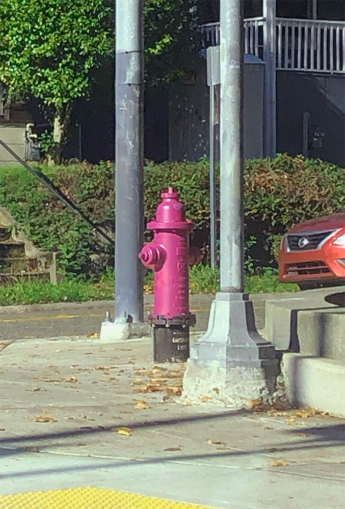 hydrant across the playground